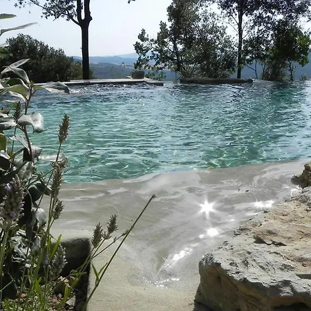 Mommialla Gambassi Terme
